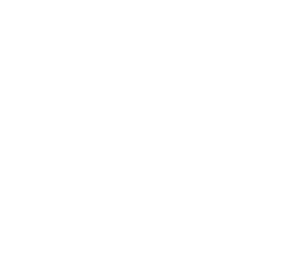 Pioneer Sementes